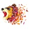 Animal polyart is Very simple intuitive game and  brain training puzzle game