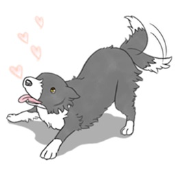 Love Border Collie Dog Sticker