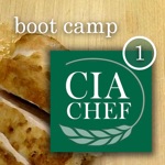 CIA Boot Camp 1