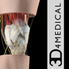 3D4Medical from Elsevier - Knee Pro III アートワーク