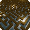 Maze Runner Brain Puzzle