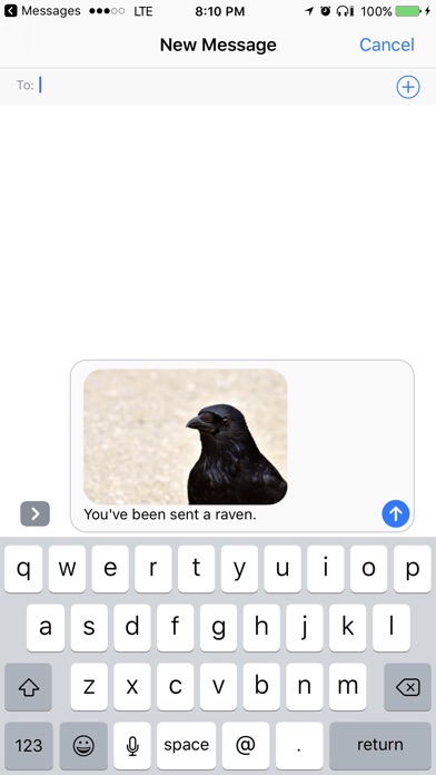 Raven Send screenshot 2