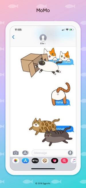 Momo fluffy cats(圖3)-速報App