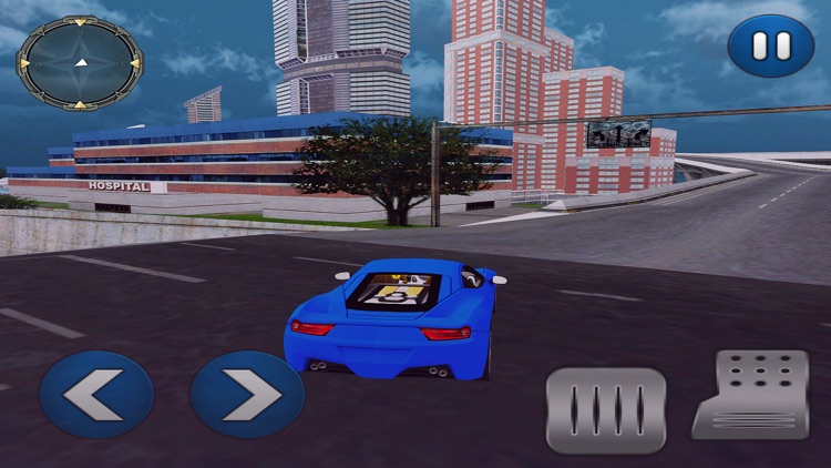 Police Car Gangster Escape screenshot-3