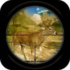 Activities of Forest Wild Sniper Hunting