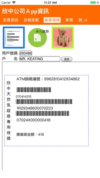 欣中天然氣公司 screenshot 3
