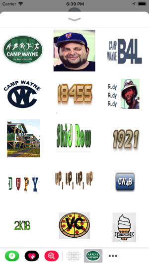 Camp Wayne Boys Sticker pack(圖1)-速報App