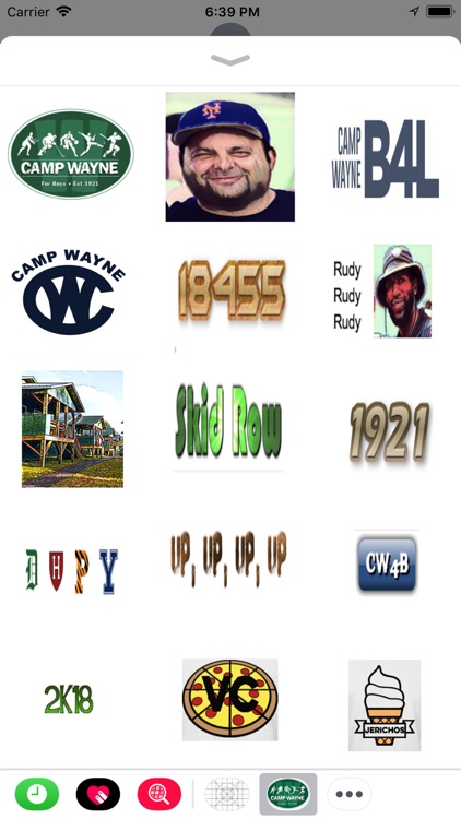 Camp Wayne Boys Sticker pack