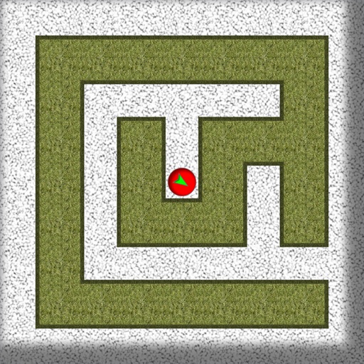 Exit Blind Maze Labyrinth Icon