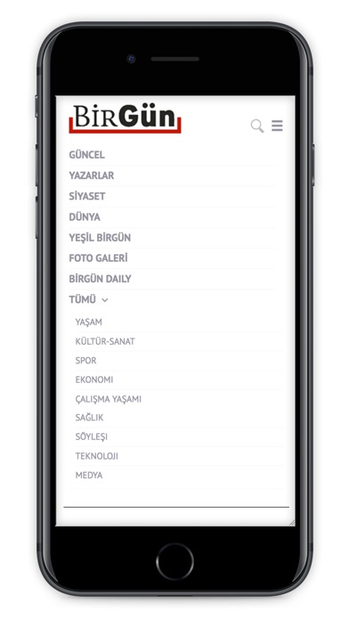 Birgün Gazetesi screenshot 3