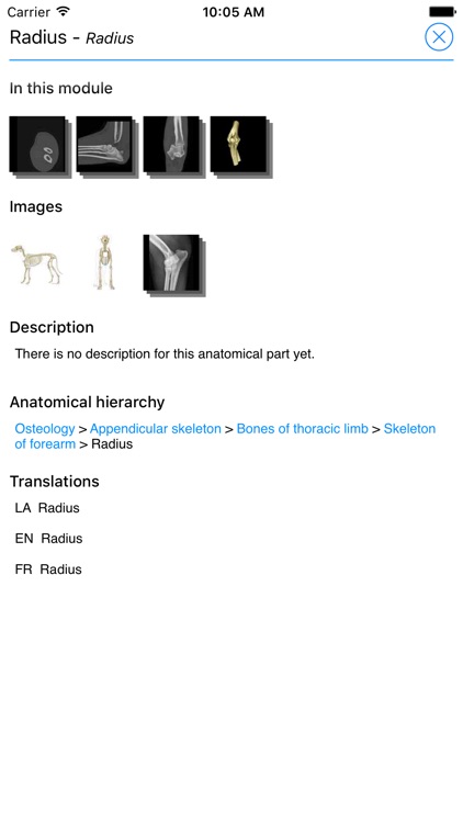 vet-Anatomy screenshot-4
