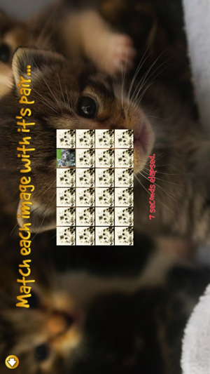 Kitten Faces(圖4)-速報App