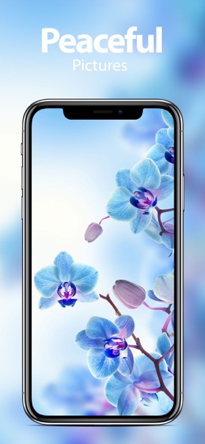 Nature Wallpapers & Themes(圖3)-速報App