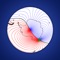 Calculates the magnetic variation based on the World Magnetic Model (WMM) for any location and year between 2015 and 2019 or the current date