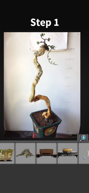 My Bonsai(圖2)-速報App