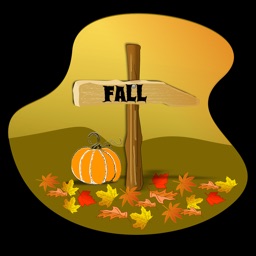 Fall Leaves - The Season!