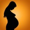 Pregnancy Weight Track app for iPhone and iPad helps you  track pre-pregnancy weight and weight-gain on weekly basis