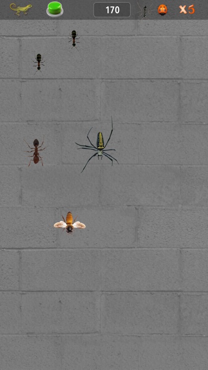 Bug Insect Smasher Evolution screenshot-4