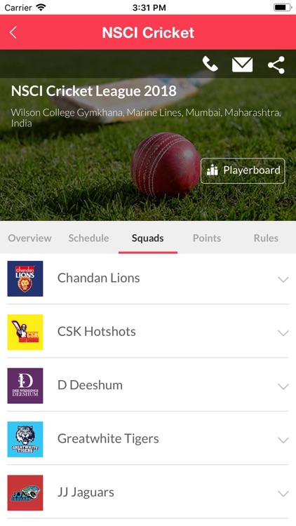 NSCI Cricket screenshot-3