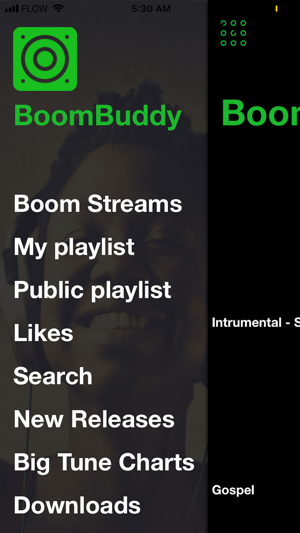 BoomBuddy