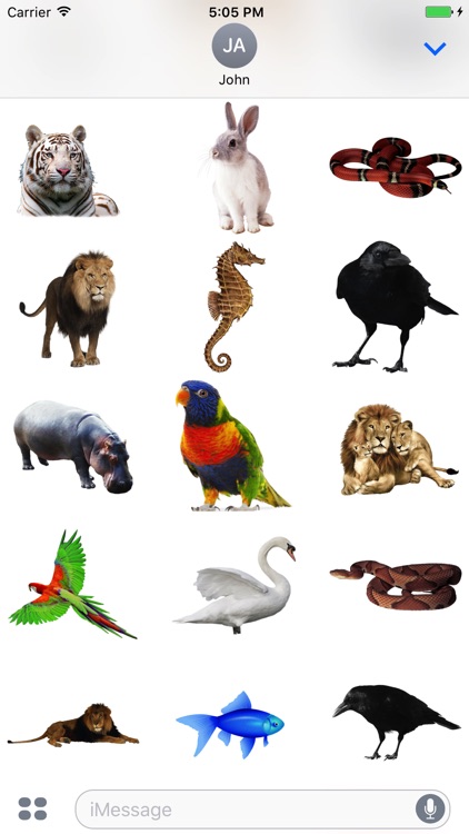 Fun Animals Stickers!