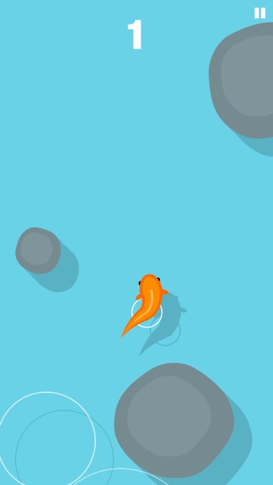 Little Koi screenshot 4