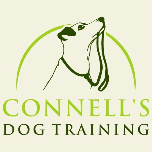 Dog Training Fundamentals