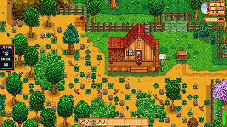 THE STARDEW VALLEY - CITY