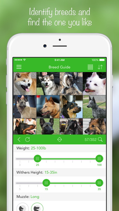 Dogs PRO HD - NATURE MOBILE - Dog Breed Guide and Quiz Game Screenshot 2