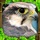Falcon Simulator