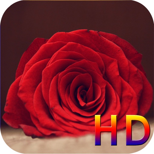 Flower HD Wallpapers iOS App
