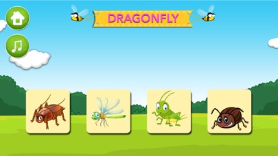 Learn about Insects screenshot 4