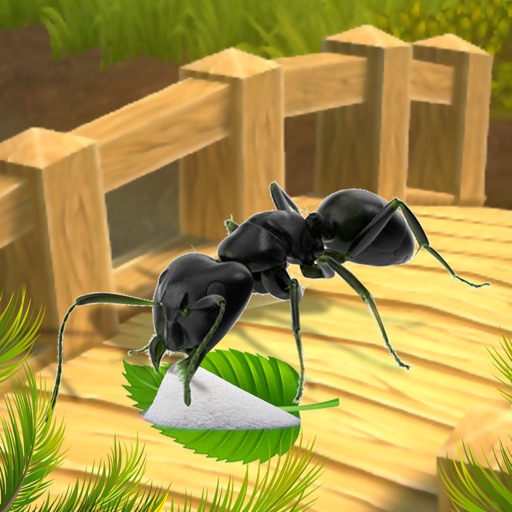 Ant Survival Simulator iOS App