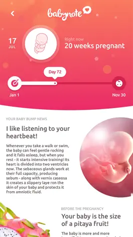 Game screenshot Babynote - Pregnancy Timeline hack