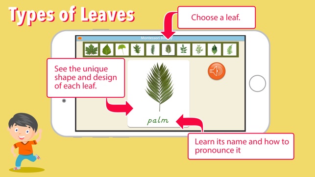 Learn Botany - Parts of Plants(圖5)-速報App