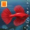 ***NOTE: The FULL version of Fish Tycoon is currently on sale for $0