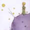 Novela corta del escritor francés Antoine de Saint-Exupéry, piloto militar durante la Segunda Guerra mundial, es considerado como un libro infantil por el estilo en el cual esta redactado, pero en realidad trata de temas profundos como el sentido de la vida, la sociedad, la amistad, el amor y la pérdida