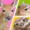 Cute animal puzzle game