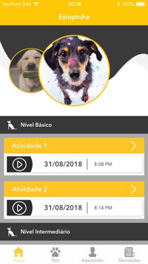 Cão Cidadão(圖2)-速報App