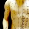 WHO標準経絡に基ずいた、経穴アプリ。各経穴(361穴)の位置、主治、筋肉、神経、血管が表示、