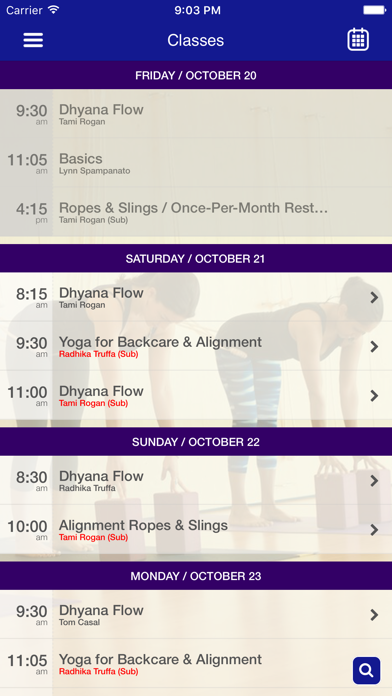 Dhyana Yoga Arts screenshot 4