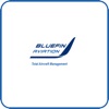 Bluefin Aviation