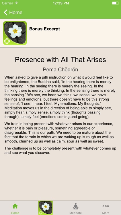 Unconditional Confidence - Pema Chödrön