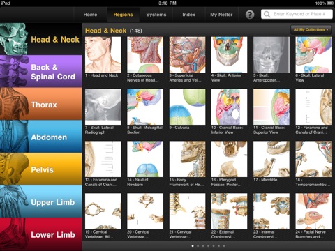 Netter's Anatomy Atlas screenshot 3