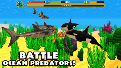 Wildlife Simulator: Shark Screenshot 5