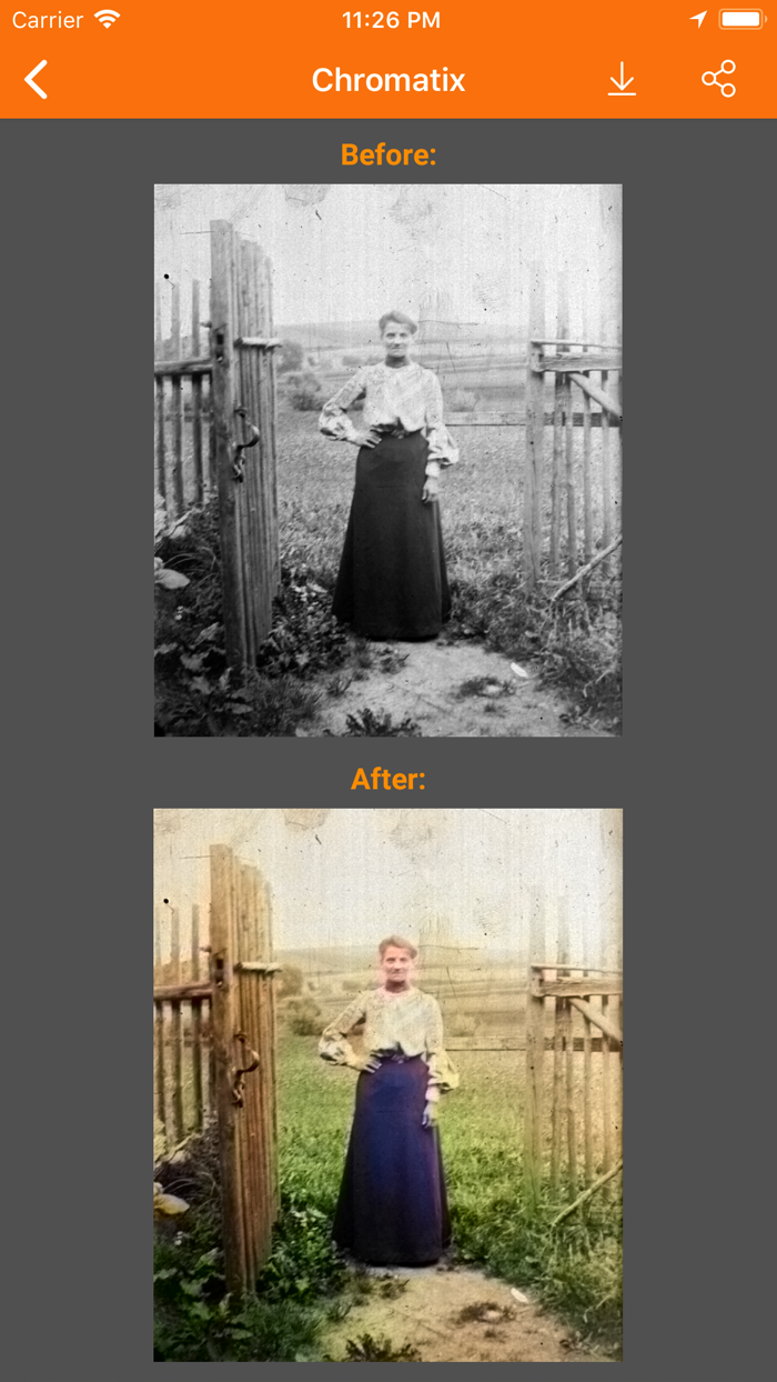 Chromatix BW Photo Colorizer