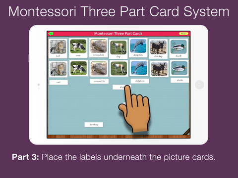 Montessori Three Part Cards screenshot 4