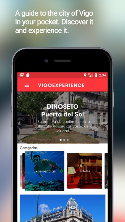 Vigoexperience