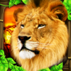 Safari Simulator: Lion - Gluten Free Games