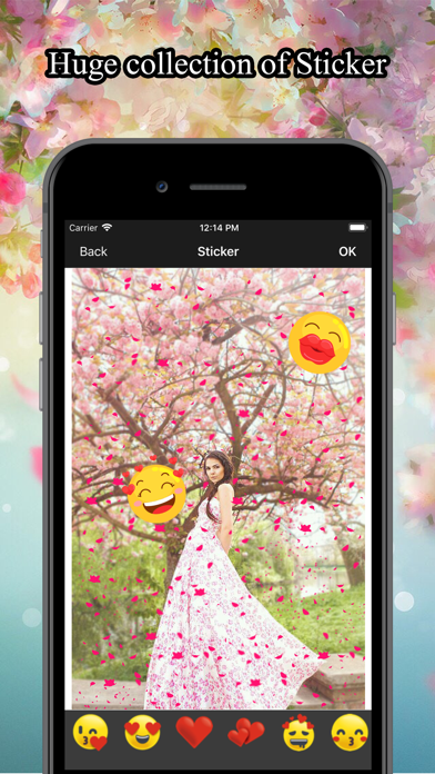 How to cancel & delete Flower Rain Effect Pic Editor from iphone & ipad 4
